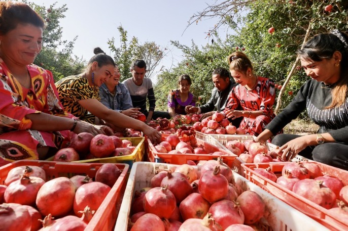 Xinjiang posts steady foreign trade growth in Q1