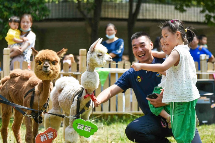 Glimpses of China's rural revitalization