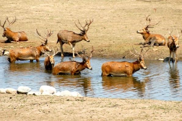 Tough lesson delivered on biodiversity