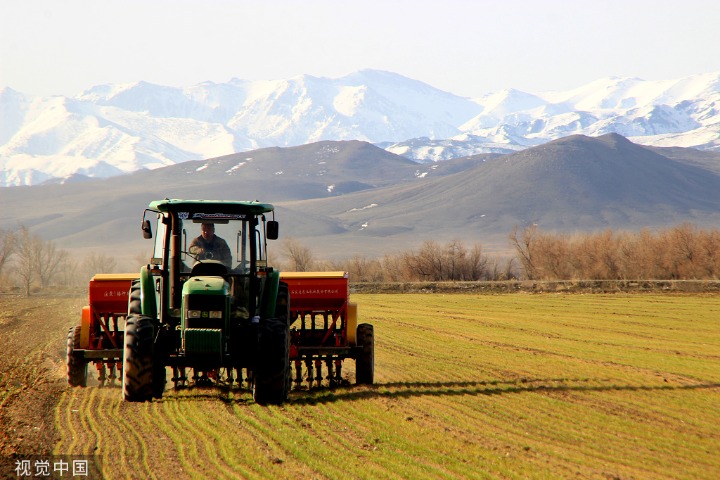 Xinjiang posts 30 pct foreign trade growth in Jan-May