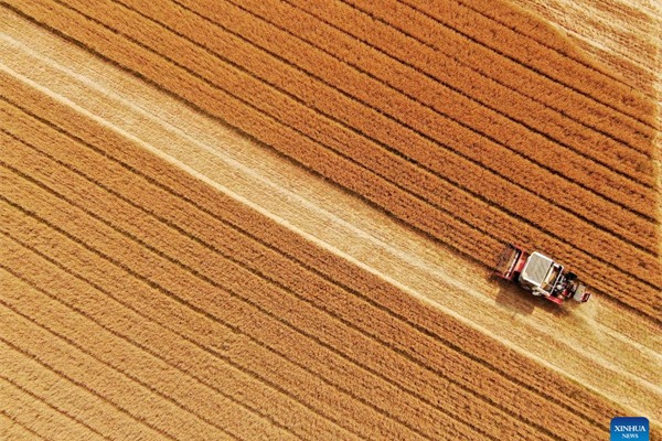 China launches crackdown against crimes involving illegal occupation of farmland