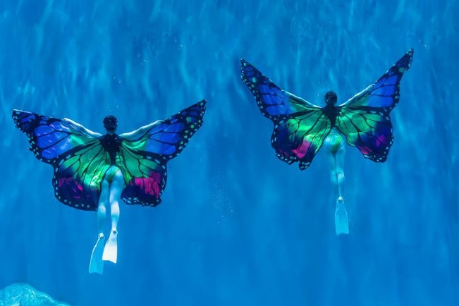 Underwater ballet: Beauty in the depths