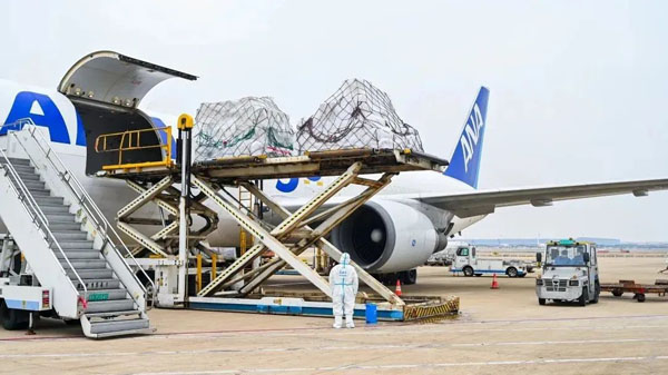 Pudong airport sees flight, cargo volume rise despite pandemic control