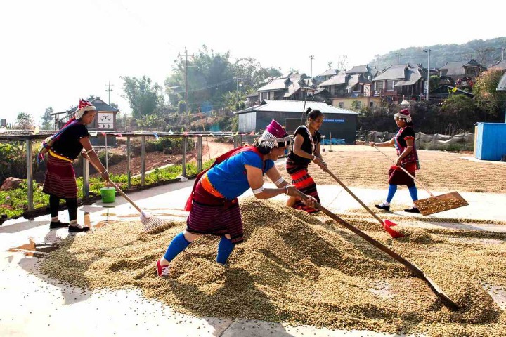 Yunnan using bean to perk coffee sales