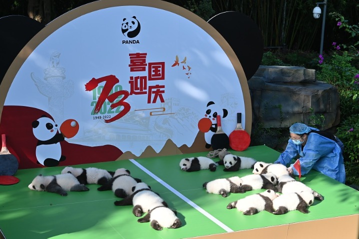 Panda cubs meet public at SW China breeding base