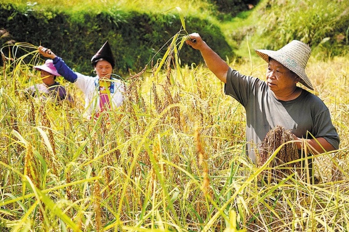 Autumn harvest to be better than expected