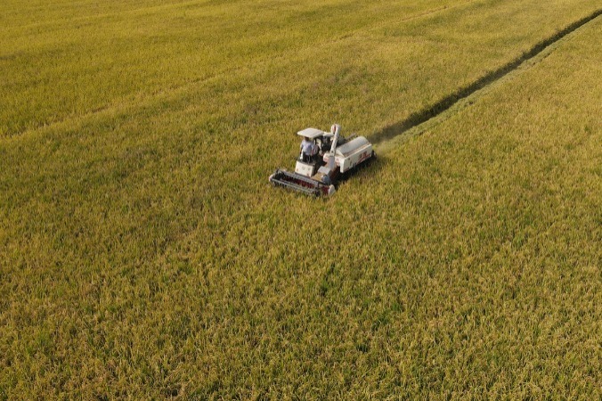 China's policy bank lends billions more to agriculture