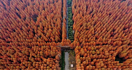 A sporting haven: Baoying Lake National Wetland Park