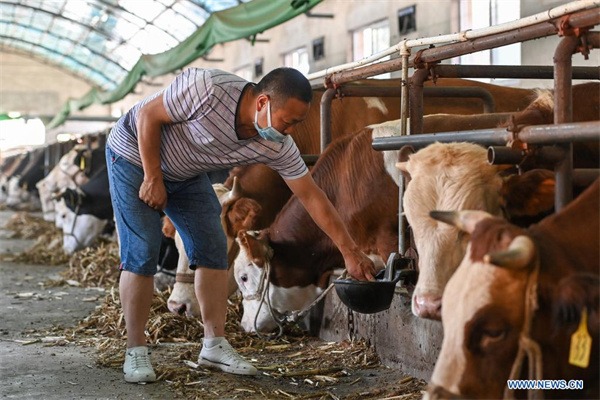 China revises animal husbandry law