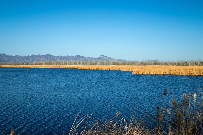 COP14 on wetlands conservation opens Saturday