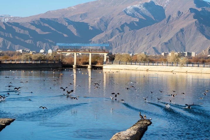 Gorgeous winter scenery in Lhasa