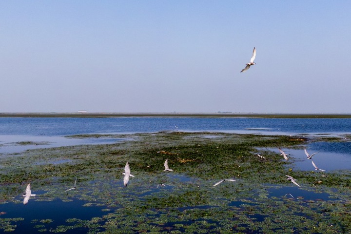 COP14 on wetlands conservation concludes with 21 resolutions