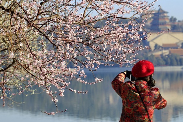 Beijing parks see 660,000 visitors during New Year holiday