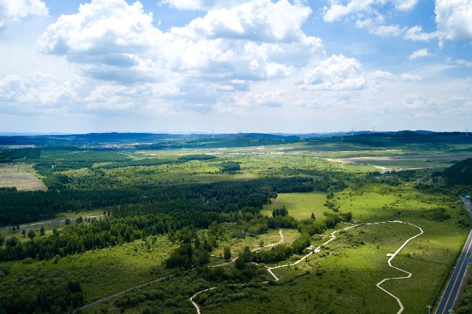 China's forestation project sees decades of achievements