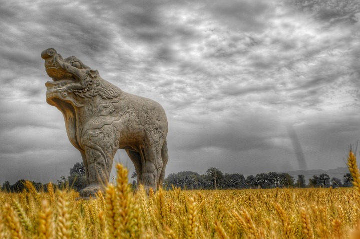 Photographer reveals hidden beauty of Zhengzhou