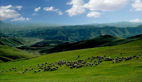 Eco-friendly Baotou city grows ever greener in last decade