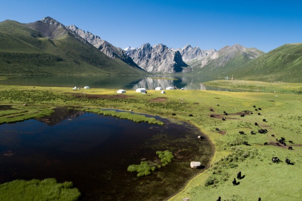 Qinghai striving to become worldwide example of ecological system conservation