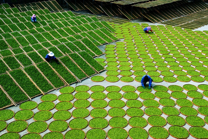 Chinese tea making joins UNESCO list