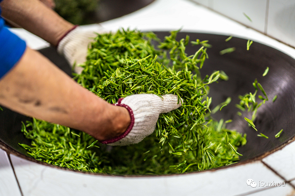 Suzhou Biluochun Tea added to UNESCO list