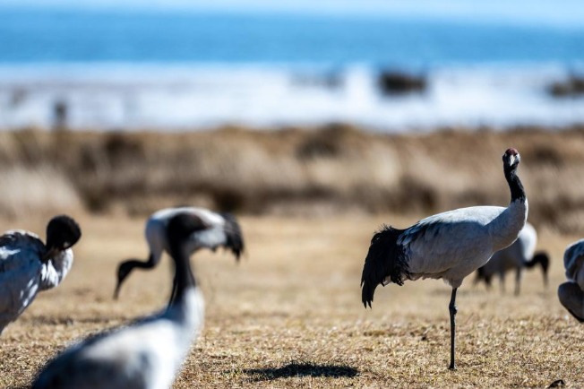 Key biodiversity role seen for children