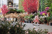 Guangzhou to hold 2023 Spring Festival flower market