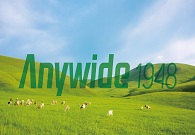 Dalian Anywide Group Co Ltd