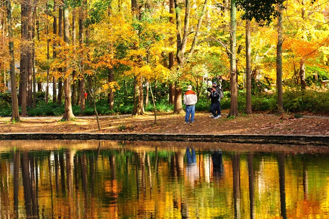 Number of parks in Shanghai hits 670