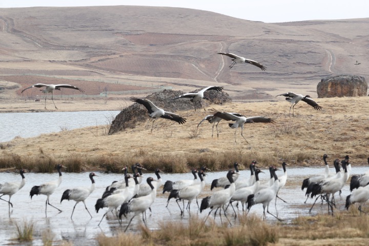 Nation adds to wetlands of international importance