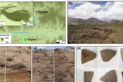 Ancient milk offers clues to ancestral diets