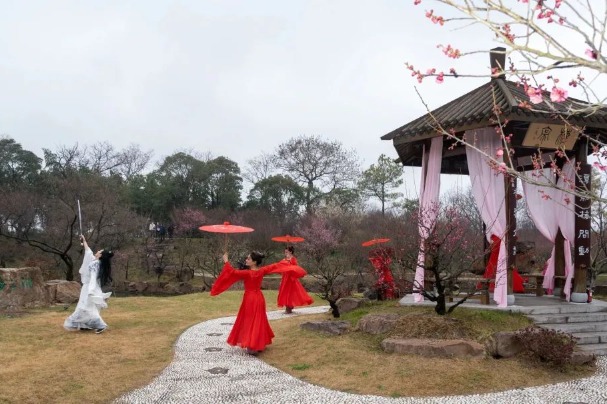 1st Slender West Lake plum blossom art festival opens