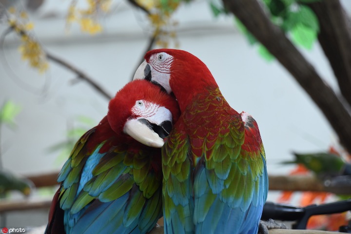 Harbin North Forest Zoo