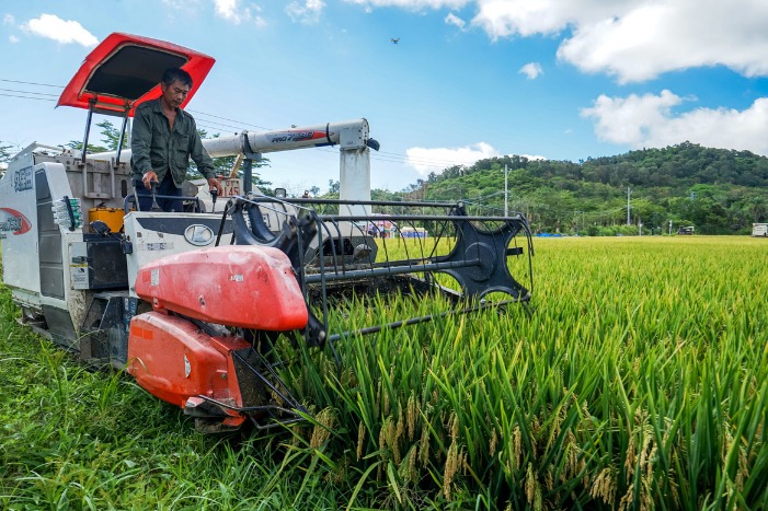 Nearly half of Xinjiang's arable land developed into high-standard farmland