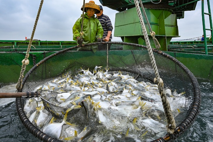 Small seafood grows into prosperous industry in E China's Zhejiang