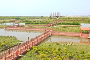 New wetland park opens to public in Jinwan