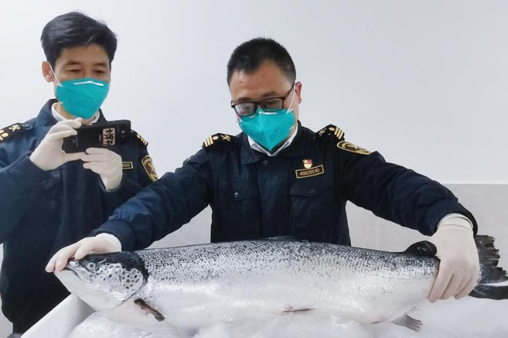 Chilled salmon from Chile arrives in Changsha