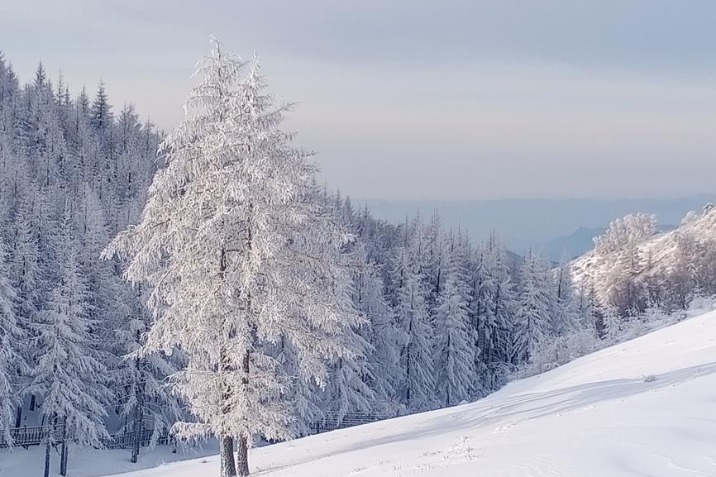 'Camel's hump' gets a snowy blanket