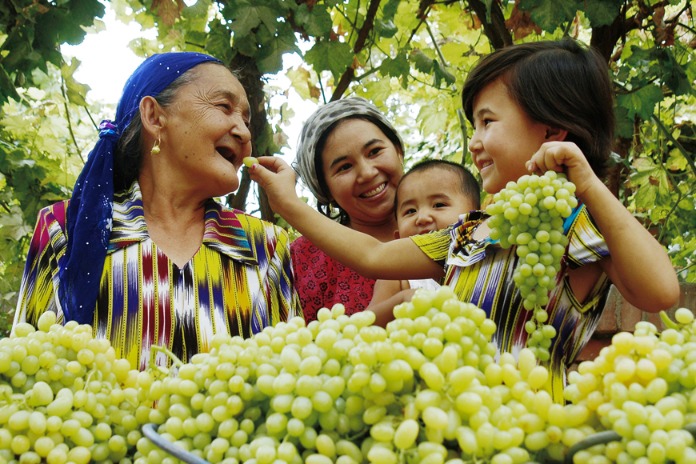 Modern agriculture helps boost farmer incomes in Xinjiang