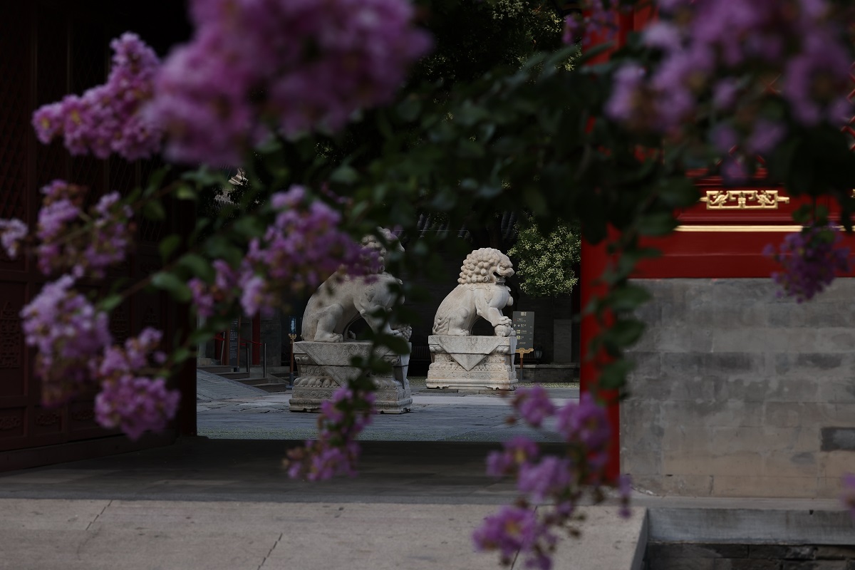 Enchanting summer scenery around the Prince Kung’s Palace Museum