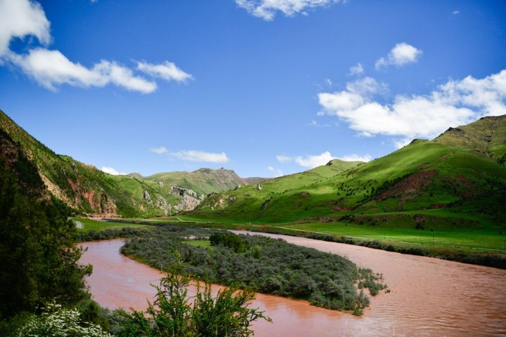 China's Qinghai sees growth in green coverage in 2022