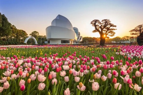 Smart agriculture burgeons in Shanghai Flower Port