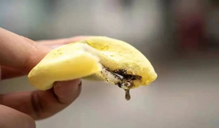 Glutinous rice balls with pine pollen