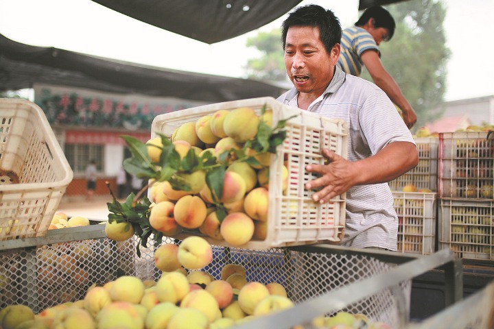 Demand rises for nation's canned food exports