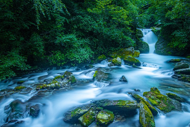 Enchanting Shennongjia: China's ecological jewel and modernization inspiration