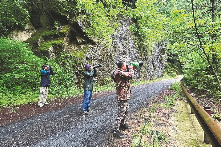 Bird survey takes wing to produce comprehensive record