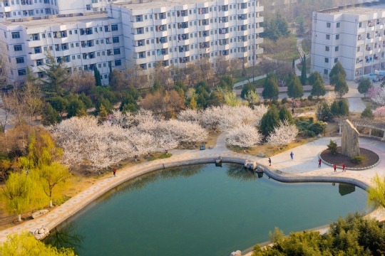 Shandong University of Technology