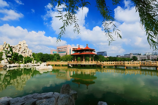 Weifang University