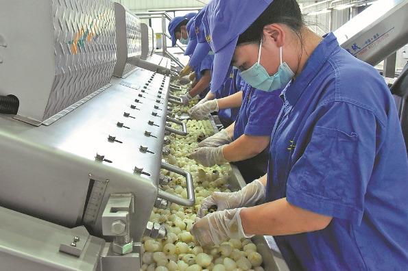 In Guangzhou, from fruit comes fortune