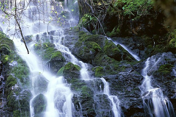 Hubei Shennongjia