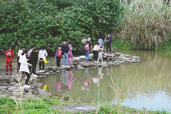 Haikou takes bee-eaters under a protective wing