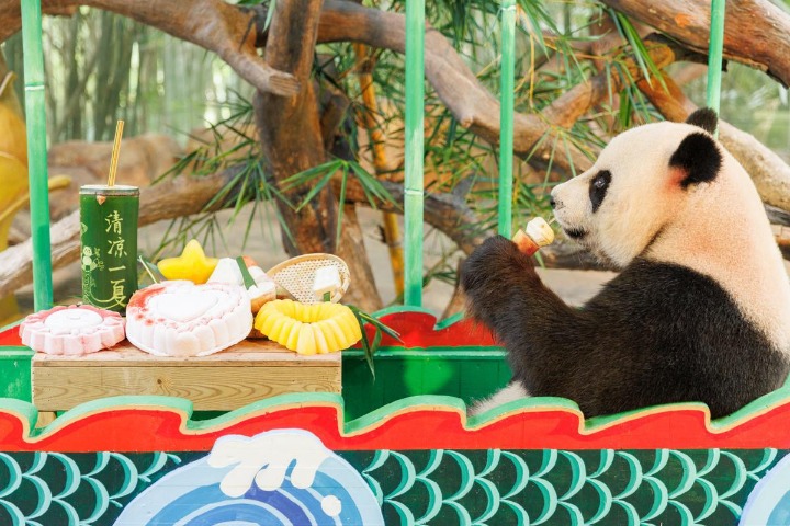 Animals stay cool at safari park